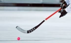 Vikingskipet Elite BandyCup 2015